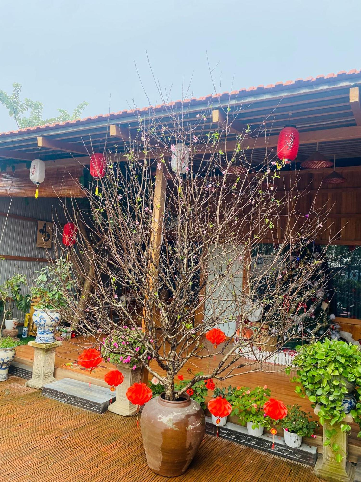 An Homestay Tam Coc Νιν Μπιν Εξωτερικό φωτογραφία