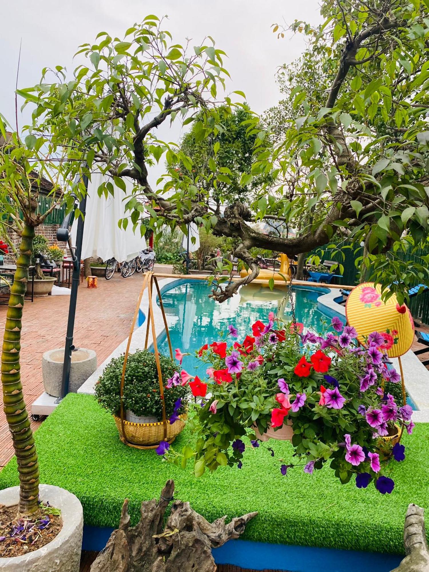 An Homestay Tam Coc Νιν Μπιν Εξωτερικό φωτογραφία